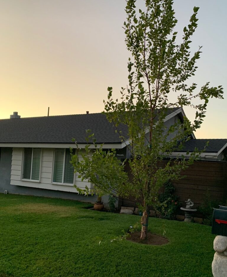 alpha and omega roofing whittier 15