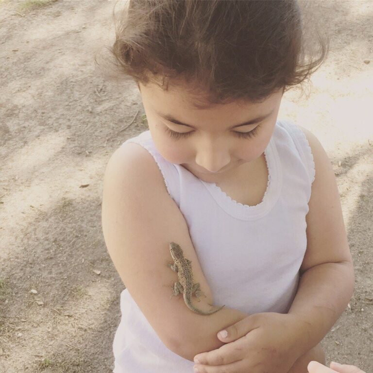 bethlehem lutheran church and school granada hills 3 bethlehem lutheran church and school granada hills 3