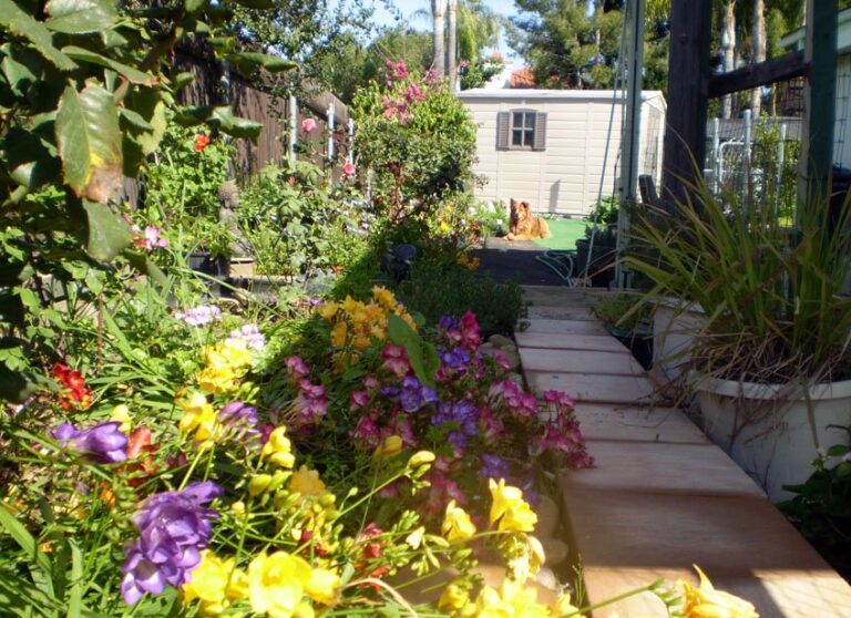 chase pacific property management services san diego 2