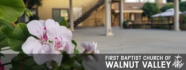 first baptist church of walnut valley walnut