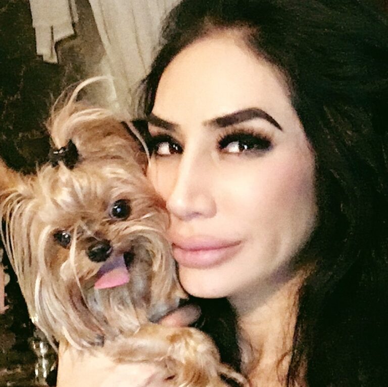 limehouse veterinary clinic of holistic medicine glendale