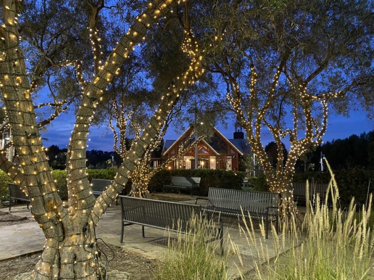 mariners church irvine