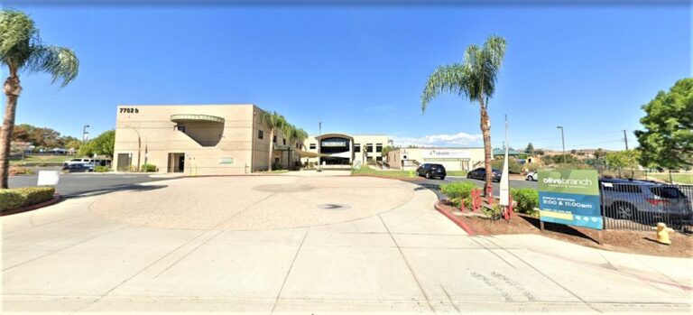 olive branch church and school corona