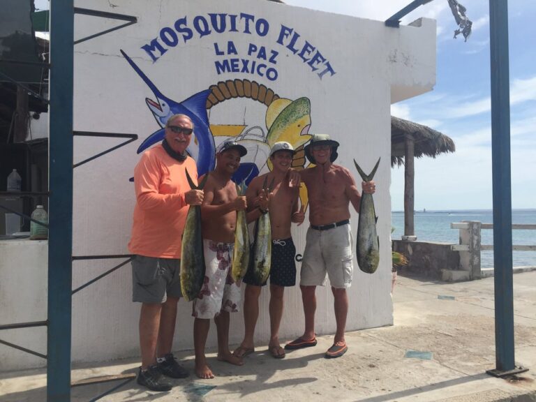 professional realty services carlsbad carlsbad