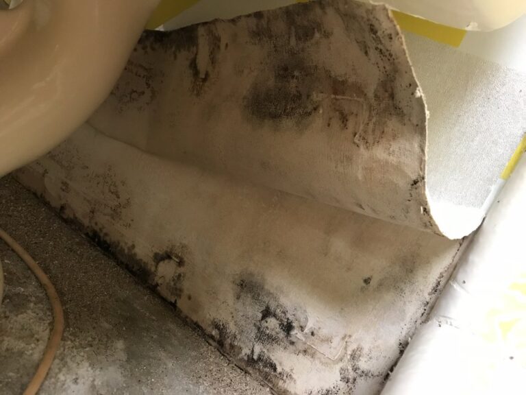 puroclean of palm desert palm desert puroclean of palm desert palm desert