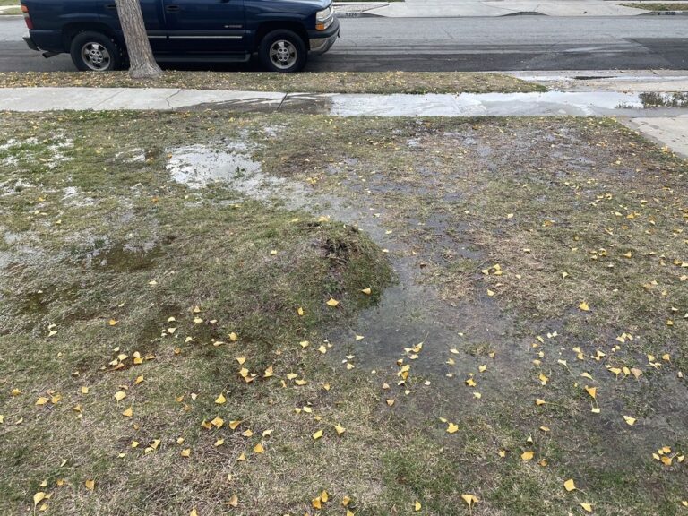 quality plumbing bellflower