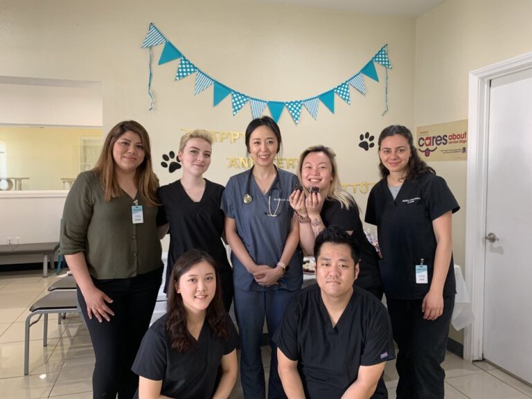 shatto veterinary center los angeles