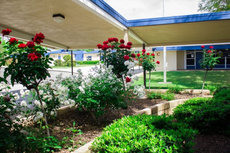 sonrise christian school covina 4