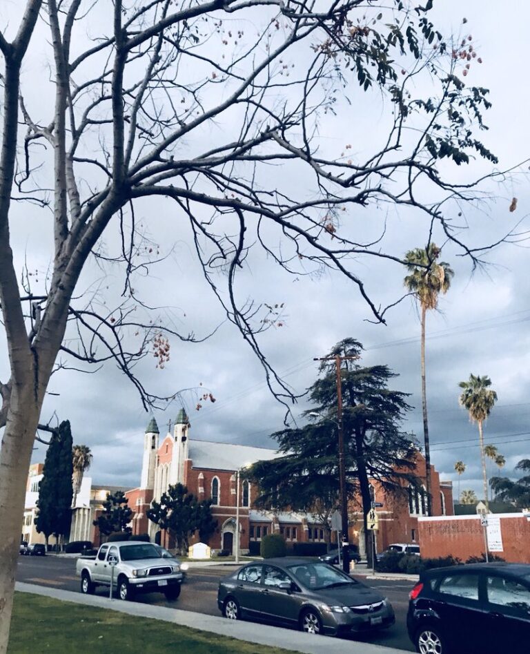 st pauls first lutheran church north hollywood st pauls first lutheran church north hollywood