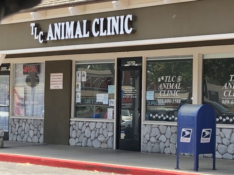 tlc animal clinic chino hills