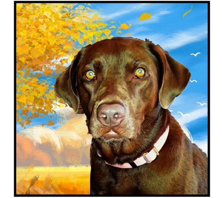 veterinary medical and surgical group san juan capistrano 6