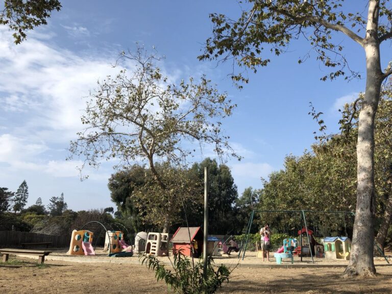 westminster presbyterian church san diego