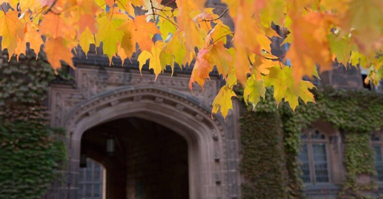 admissionsight cupertino