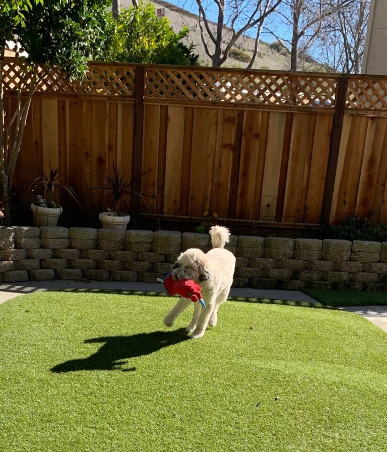 artificial grass pros san ramon 4