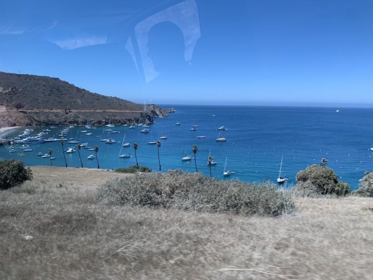 avalon community church avalon