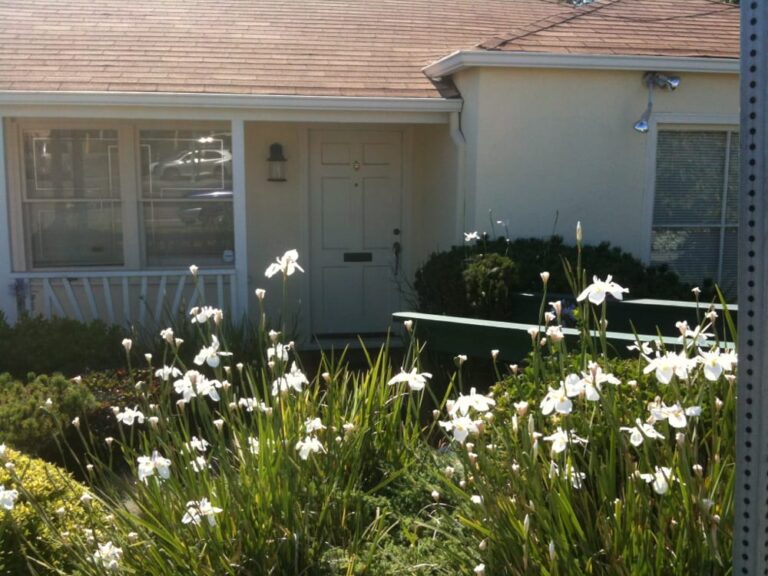 bayshore chiropractic family wellness center castro valley