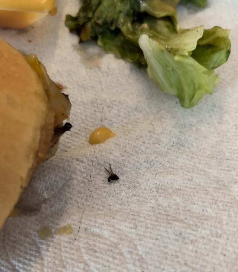 chick fil a westlake village 3