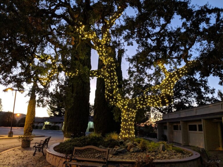 clayton valley church concord