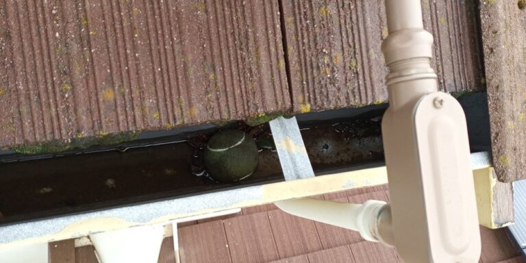 dan downey window cleaning orangevale 3