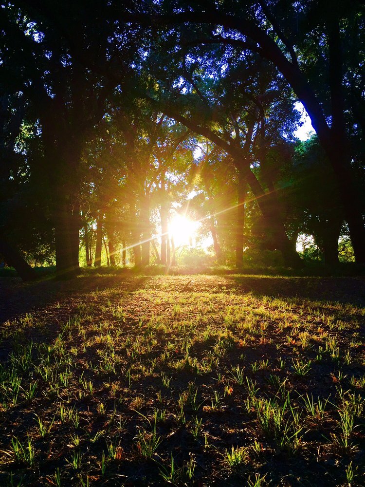 faith community church acampo faith community church acampo