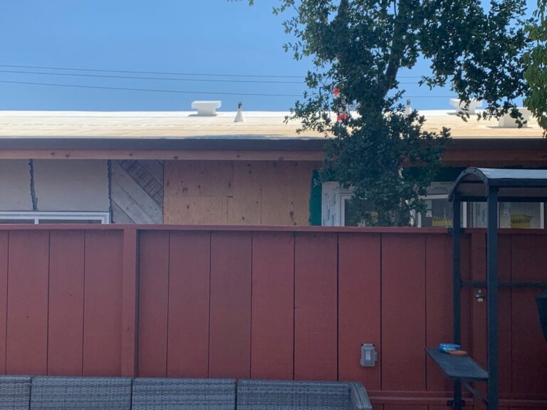 fellowship bible church belmont