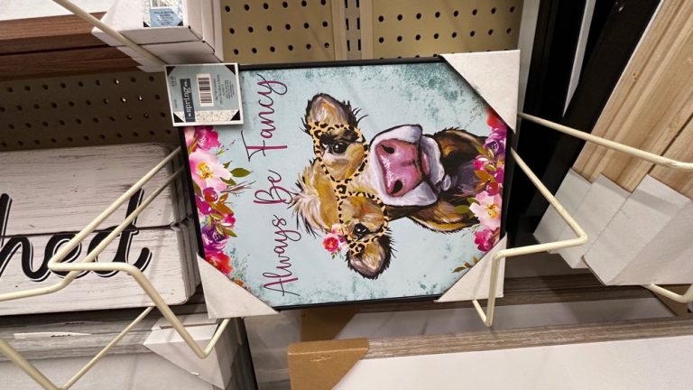 hobby lobby santa ana