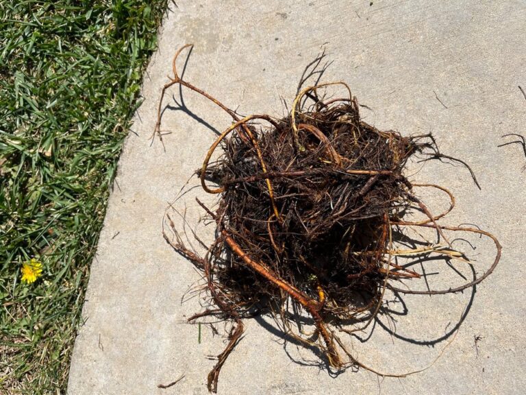 home improvement services tarzana