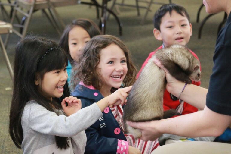 milpitas christian school san jose 2