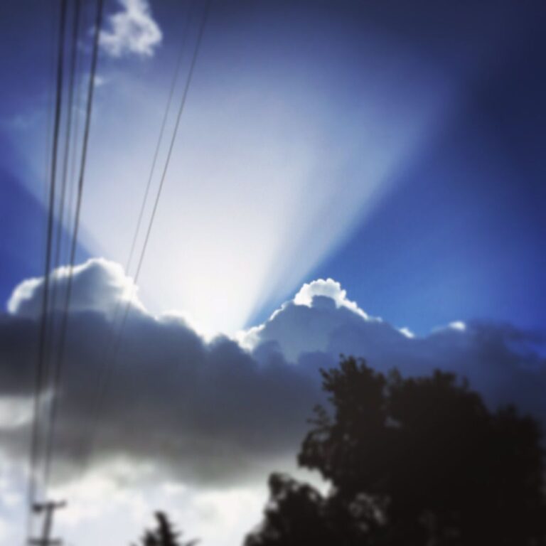 parkhaven baptist church concord