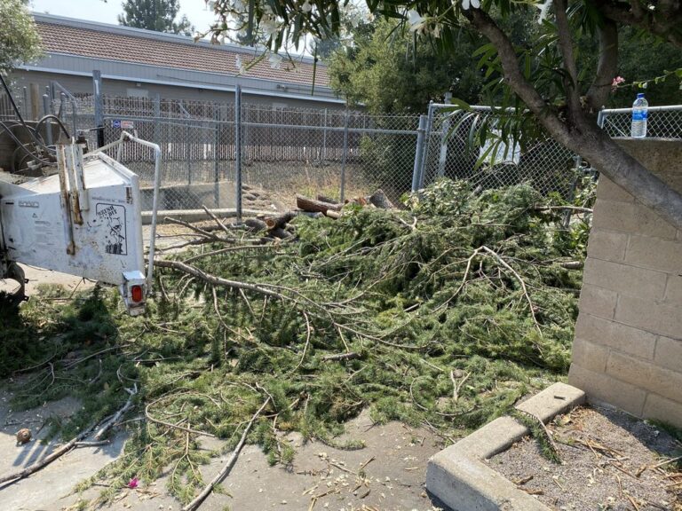 skyview tree service santa clara 2