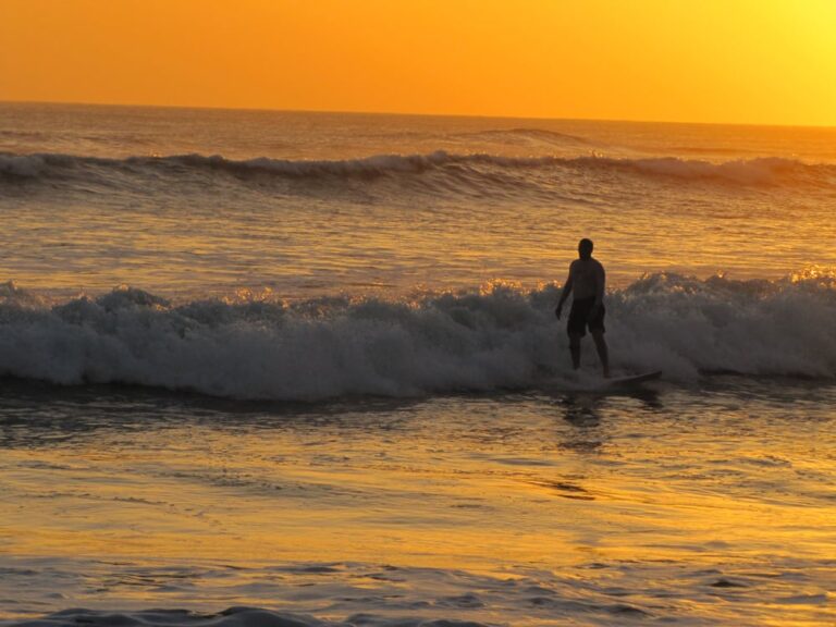 surfing l a surf school malibu surfing l a surf school malibu