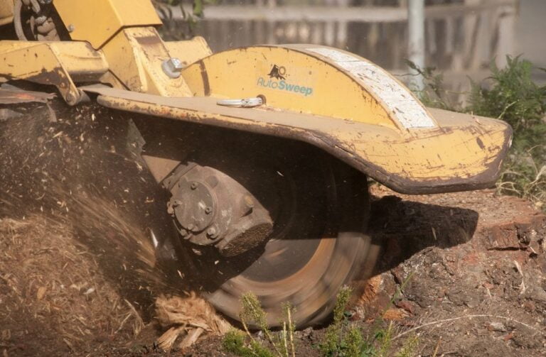 traverso tree service martinez