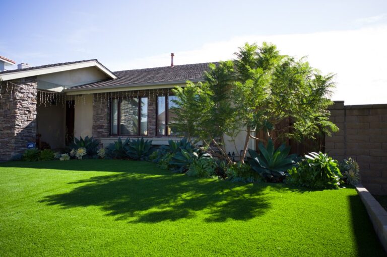 tree md of orange county orange