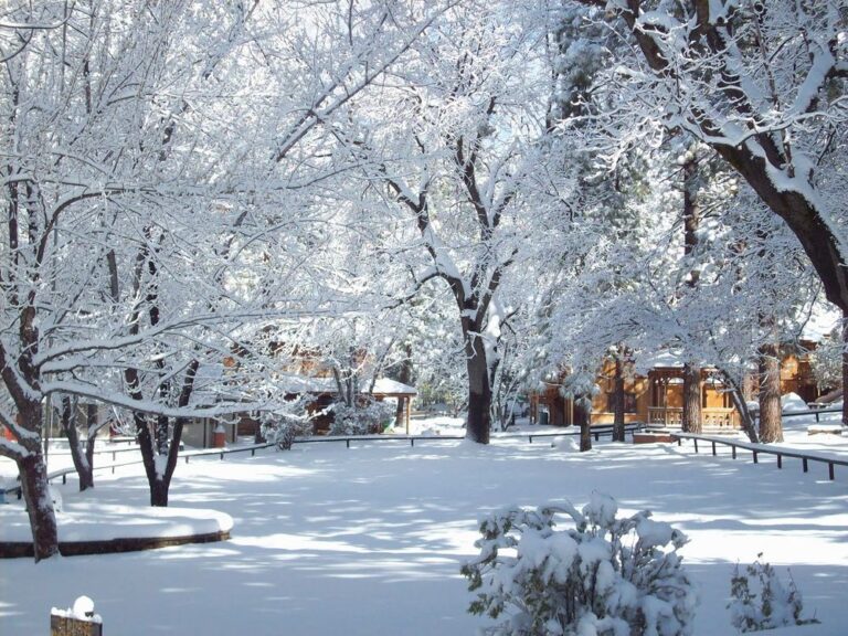 camp maranatha idyllwild