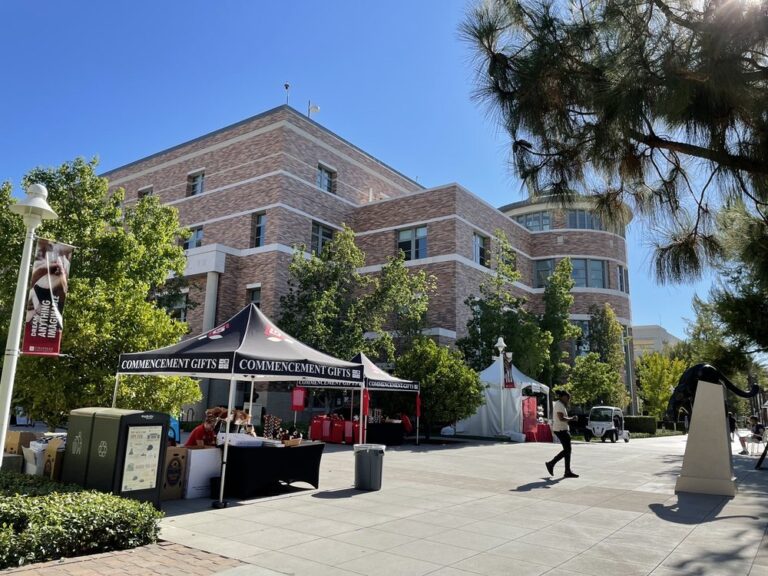 chapman university orange