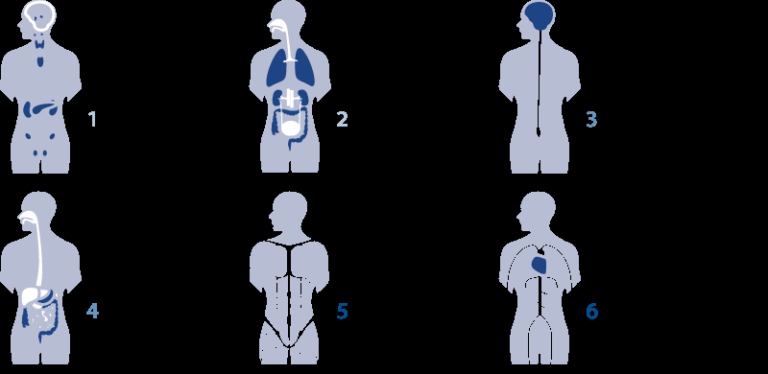 frank e kaden d c chiropractic inc redondo beach 40