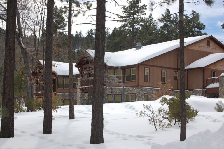 pine summit big bear lake