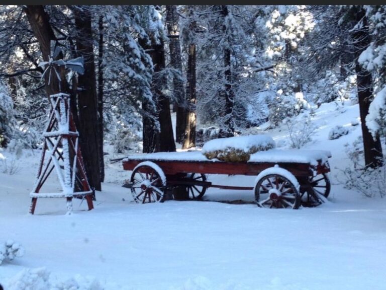 pinecrest christian conference center twin peaks