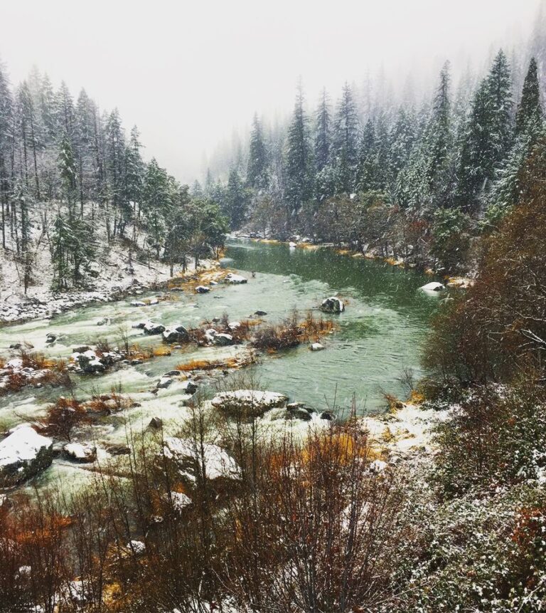 scott river lodge fort jones