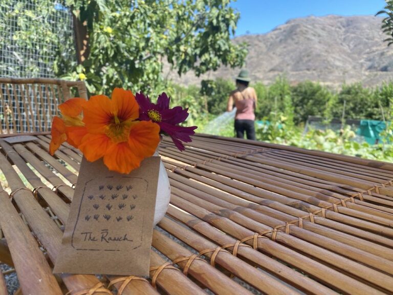 the ranch at live oak malibu malibu