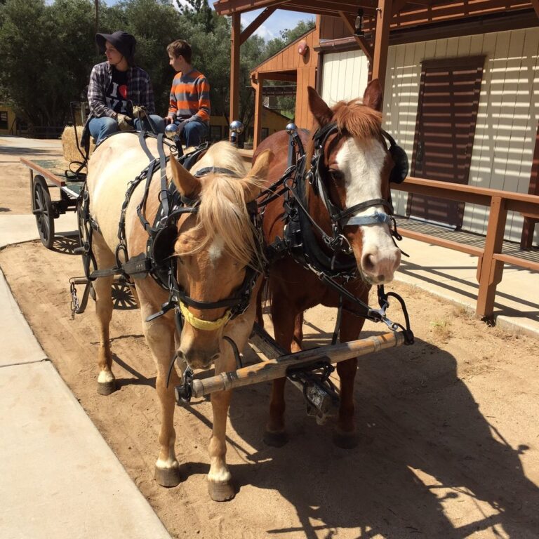 victory ranch baptist camp moreno valley