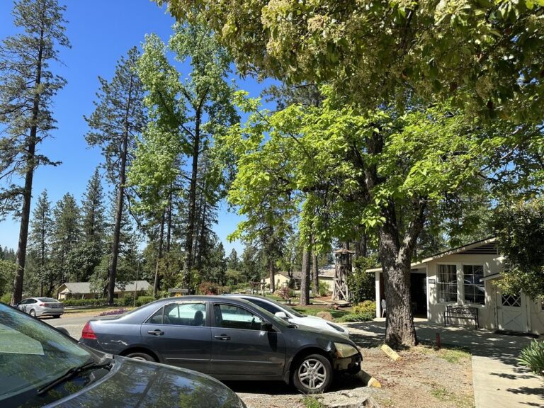 weimar institute weimar