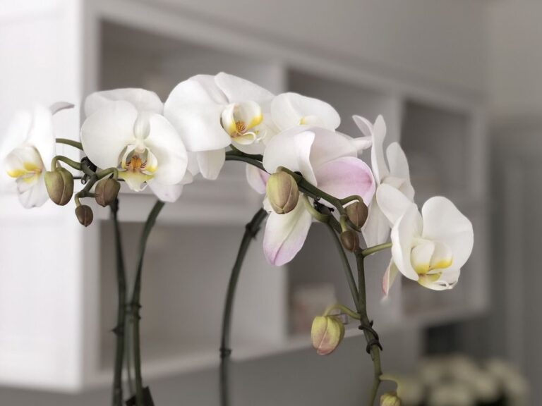 whole foods market san francisco 27