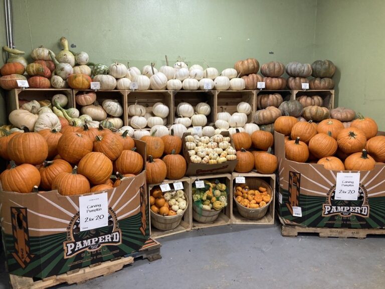 whole foods market santa monica