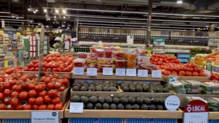 whole foods market santa rosa 4