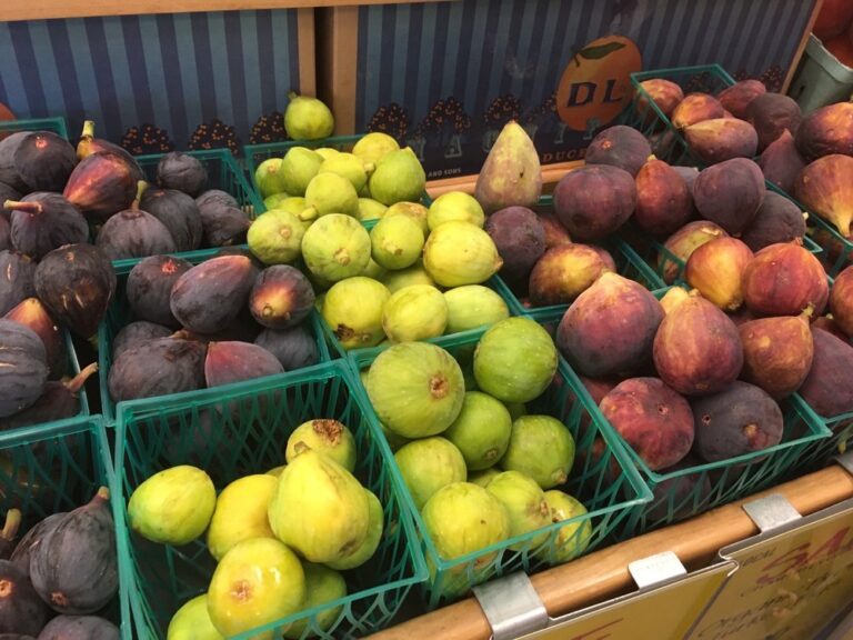 whole foods market sebastopol 2