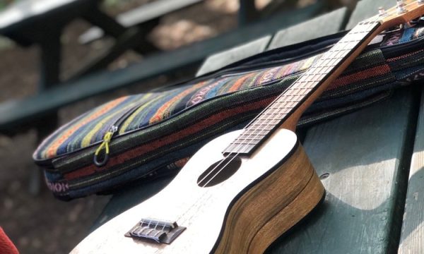 alliance redwoods conference grounds occidental