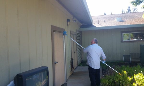 alta sierra pest control orangevale 2