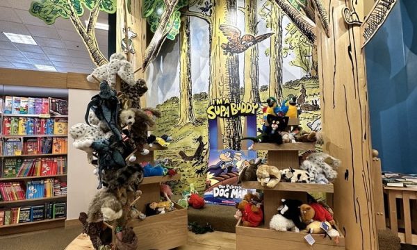 barnes and noble booksellers roseville 2