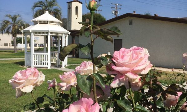 bethany lutheran church norco 2